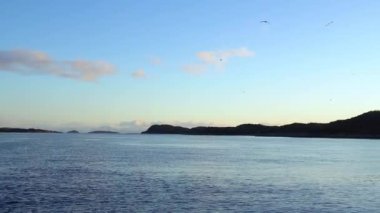 Günbatımında yatlar ve martılar Lofoten adalarında arka planda, gün batımında Norveç 'te yuvalanan martılar, yamaçta martı yuvaları olan yatlar