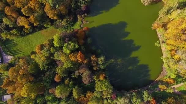 Lot Nad Jeziorem Jesień Parku Jesień Natura Aerial Krajobraz Lot — Wideo stockowe