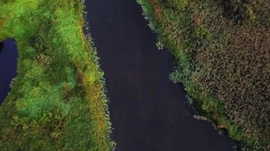 Güneşin doğuşunda nehir üzerindeki teknenin havadan görünüşü, nehirde gün doğumu, gün doğumunda teknede balıkçı, sabah balıklarının havadan görüntüsü, gün doğumunda motorlu teknenin üzerinden uçmak.