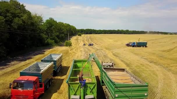 Luftaufnahme Von Landwirtschaftlichen Maschinen Auf Dem Weizenfeld Landwirtschaftliche Szene Mit — Stockvideo