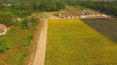 çiçek sergi, çiçek pazarı, bitki kreş çiçekler havadan görünümü havadan görünümü