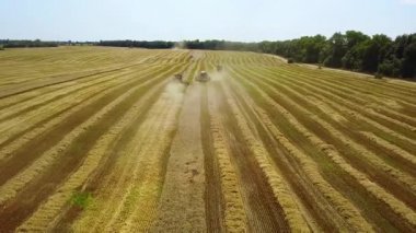 chamfered buğday tarlasının havadan görünümü, Buğday Avrupa alanları, tarlada buğday hasat havadan görünümü, Doğrudan yukarıda Uçan Tarım sahnenin Üst görünümü birleştirmek