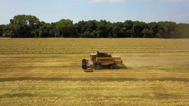 倒角麦田的鸟瞰图 欧洲麦田 田间收获小麦的鸟瞰图 飞天正上方结合农业场景的顶视图 — 图库视频影像