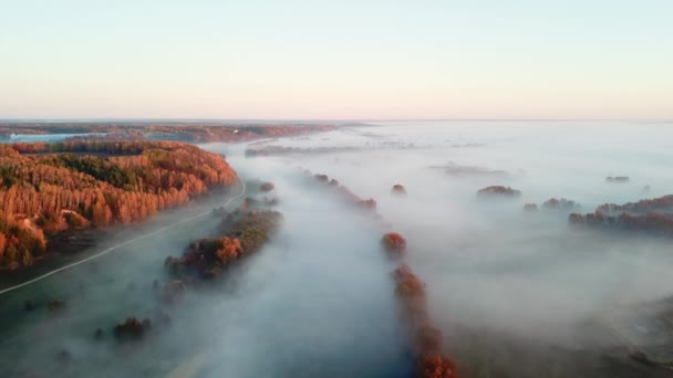 Aerial View Morning Fog Autumn River Flight River Sunrise Dawn — Stock Video