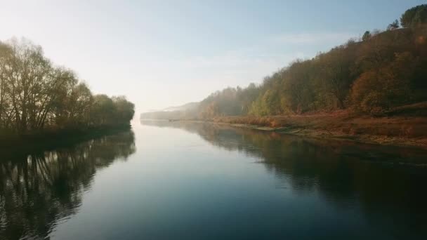 Vista Aerea Gregge Oche Nella Nebbia Mattutina Sul Fiume Oche — Video Stock