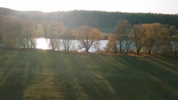 在河边鸟瞰秋天的树木 在早晨鸟瞰秋天的树木 在晨雾中的河流 在河边的阳光和雾蒙蒙的早晨 — 图库视频影像