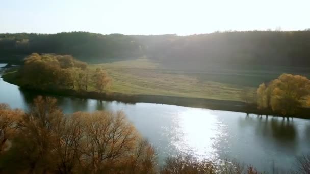 Aerial View Autumn Trees River Aerial View Autumn Trees Morning — Stock Video