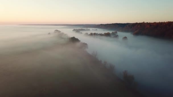 Luftaufnahme Des Morgennebels Über Dem Herbstfluss Flug Über Den Fluss — Stockvideo
