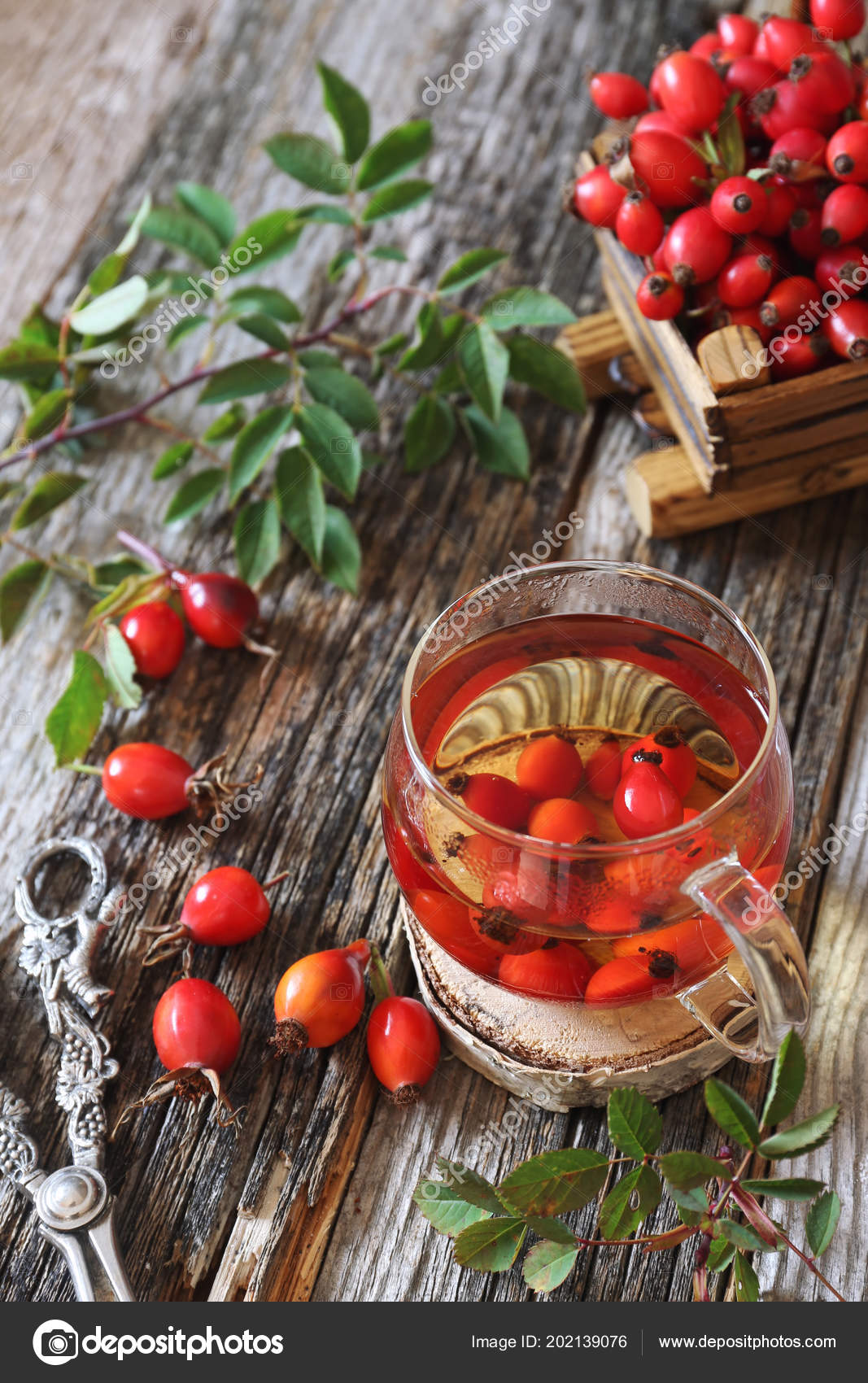 Rosehip Tea Glass Cup Berries — Stock Photo © photosimysia 202139076