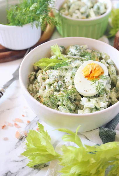 Вітамін легкий салат з кропом, селера, яйцями і грецьким йогуртом — стокове фото