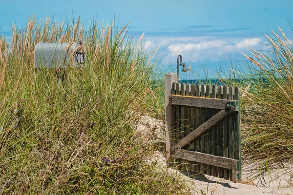 Herbe Dunaire Sable Sur Plage Heiligenhafen Mer Baltique — Photo