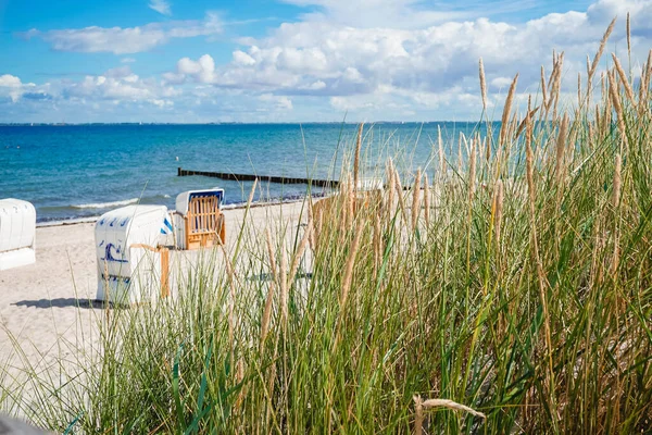 Trawa Wydmowa Piasek Plaży Heiligenhafen Nad Morzem Bałtyckim — Zdjęcie stockowe