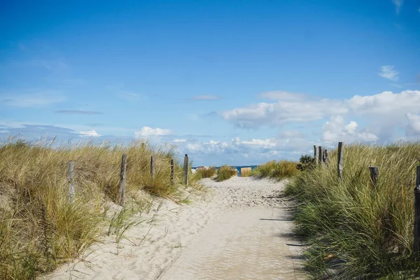 Herbe Dunaire Sable Sur Plage Heiligenhafen Mer Baltique — Photo