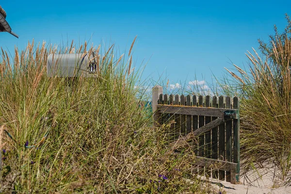 Herbe Dunaire Sable Sur Plage Heiligenhafen Mer Baltique — Photo