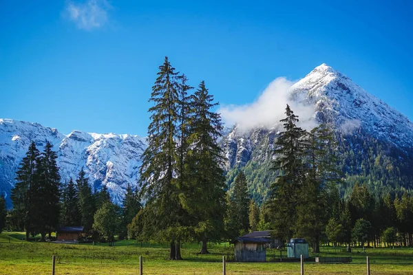 Mavi gökyüzü ve sonbaharda Achensee Gölü 'ndeki Tyrol' deki karlı dağların manzarası.