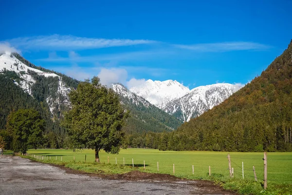 Mavi gökyüzü ve sonbaharda Achensee Gölü 'ndeki Tyrol' deki karlı dağların manzarası.