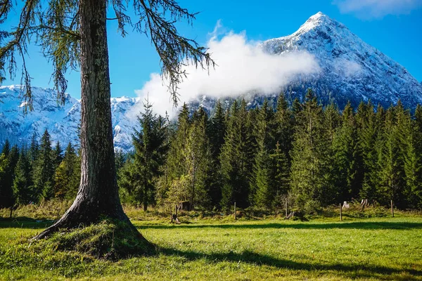 Avusturya 'nın Tyrol kentindeki Achensee Gölü' nde mavi gökyüzü ve karlı dağlar