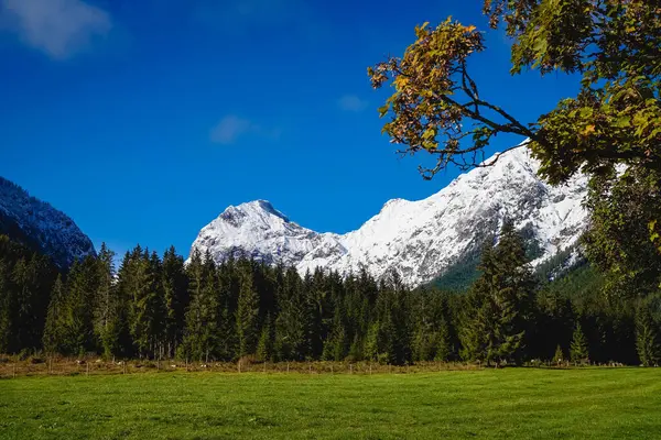Avusturya 'nın Tyrol kentindeki Achensee Gölü' nde mavi gökyüzü ve karlı dağlar