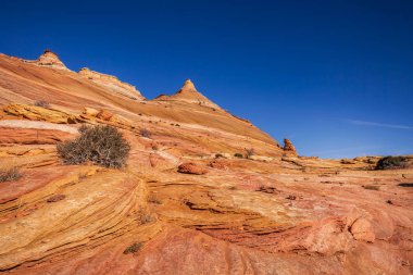 Dalga, Arizona, Kanyon Kaya oluşumu. Vermillion Cliffs, Paria Canyon State Park, ABD.