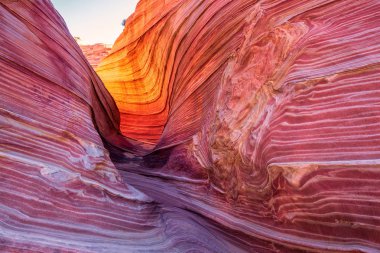 Dalga, Arizona, Kanyon Kaya oluşumu. Vermillion Cliffs, Paria Canyon State Park, ABD.
