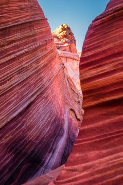 Dalga, Arizona, Kanyon Kaya oluşumu. Vermillion Cliffs, Paria Canyon State Park, ABD.