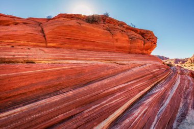 Dalga, Arizona, Kanyon Kaya oluşumu. Vermillion Cliffs, Paria Canyon State Park, ABD.