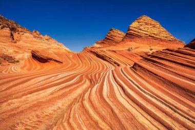 Dalga, Arizona, Kanyon Kaya oluşumu. Vermillion Cliffs, Paria Canyon State Park, ABD.