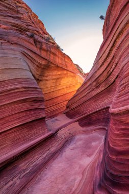 Dalga, Arizona, Kanyon Kaya oluşumu. Vermillion Cliffs, Paria Canyon State Park, ABD.