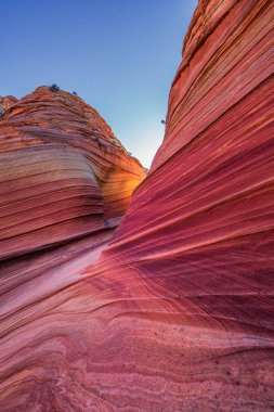 Dalga, Arizona, Kanyon Kaya oluşumu. Vermillion Cliffs, Paria Canyon State Park, ABD.
