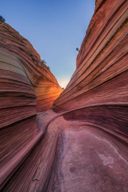 Dalga, Arizona, Kanyon Kaya oluşumu. Vermillion Cliffs, Paria Canyon State Park, ABD.