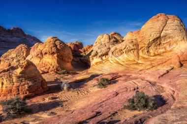 Dalga, Arizona, Kanyon Kaya oluşumu. Vermillion Cliffs, Paria Canyon State Park, ABD.