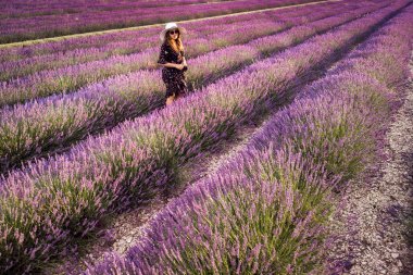 Beyaz şapkalı kadın yaz günbatımında Valensole yakınlarında lavanta tarlasında. Provence, Fransa. Üst görünüm.
