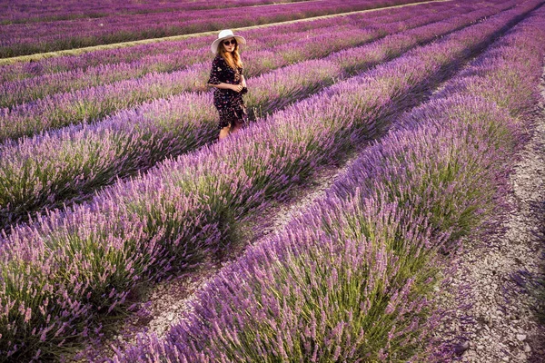 Beyaz şapkalı kadın yaz günbatımında Valensole yakınlarında lavanta tarlasında. Provence, Fransa. Üst görünüm.