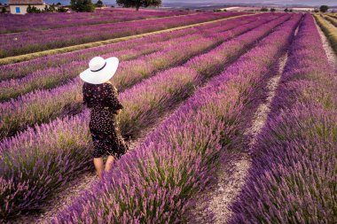 Beyaz şapkalı kadın yaz günbatımında Valensole yakınlarında lavanta tarlasında. Provence, Fransa. Üst görünüm.