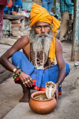Varanasi, Hindistan - 18 Mart 2017: Holy man holding tehlikeli kobra yılan Varanasi, Hindistan.