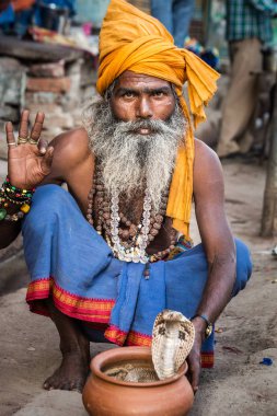 Varanasi, Hindistan - 18 Mart 2017: Holy man holding tehlikeli kobra yılan Varanasi, Hindistan.