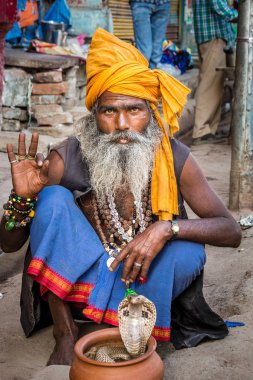 Varanasi, Hindistan - 18 Mart 2017: Holy man holding tehlikeli kobra yılan Varanasi, Hindistan.