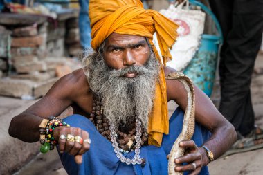 Varanasi, Hindistan - 18 Mart 2017: Holy man holding tehlikeli kobra yılan Varanasi, Hindistan.