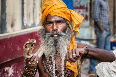 Varanasi, Hindistan - 18 Mart 2017: Holy man holding tehlikeli kobra yılan Varanasi, Hindistan.