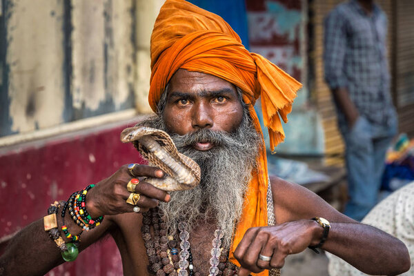 VARANASI, INDIA - MARCH 18, 2017: Holy man holding dangerous cobra snake in Varanasi, India.