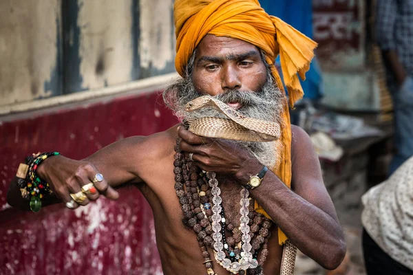 Varanasi Hindistan Mart 2017 Holy Man Holding Tehlikeli Kobra Yılan — Stok fotoğraf