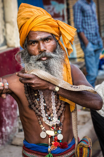 VARANASI, INDIA - MARCH 18, 2017: Holy man holding dangerous cobra snake in Varanasi, India.