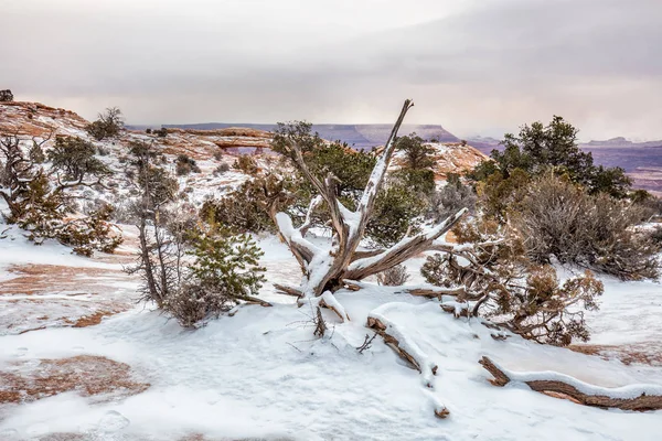 Famous Mesa Arch — Stock Photo, Image