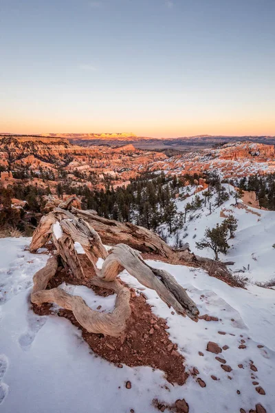 USA national parks — Stock Photo, Image