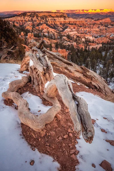 USA national parks — Stock Photo, Image