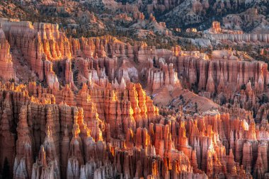 ABD ulusal parkları