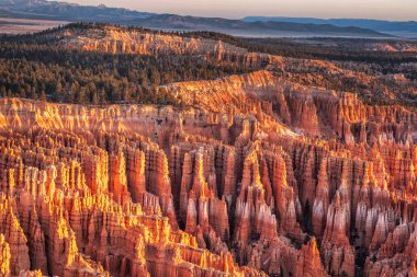 ABD ulusal parkları