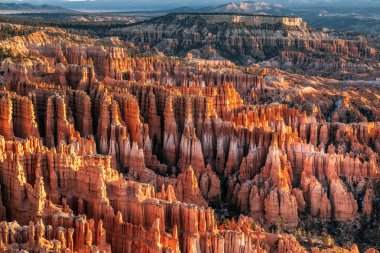 ABD ulusal parkları