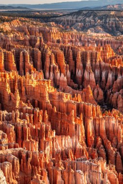 ABD ulusal parkları