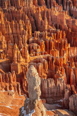 ABD ulusal parkları